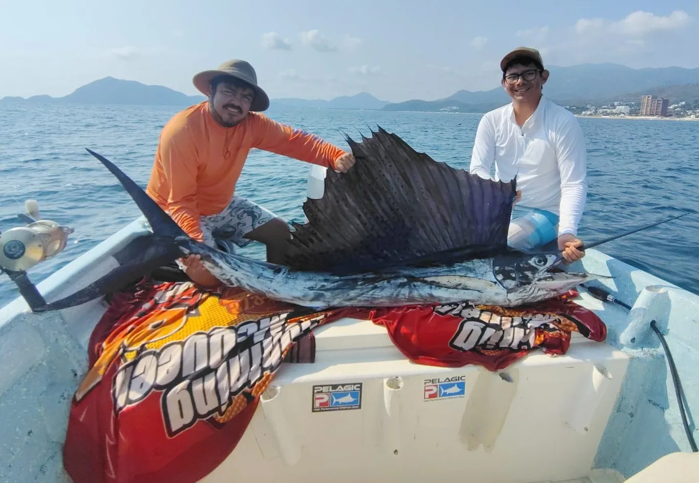 Pez vela del Pacífico