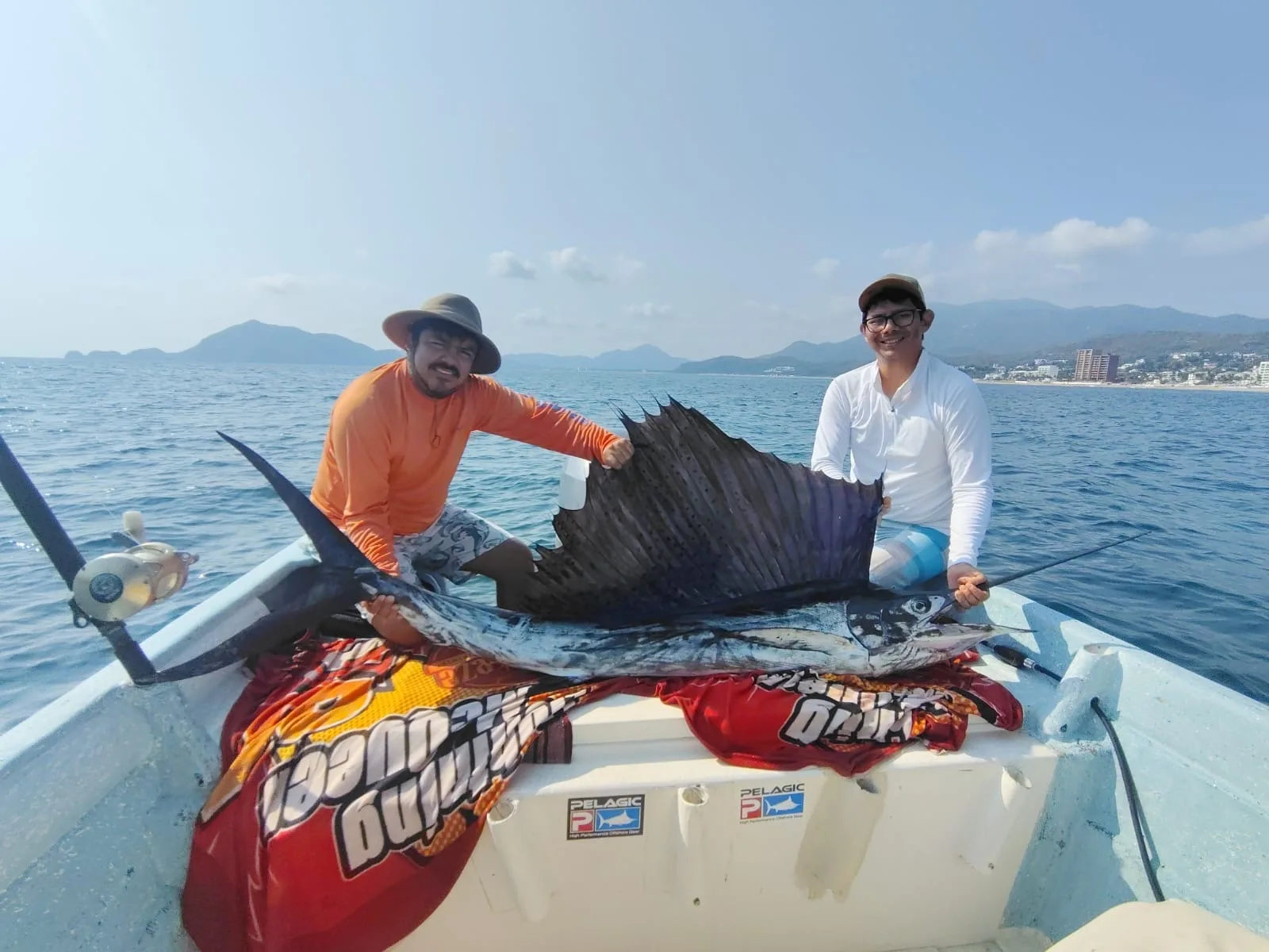 Pez vela del Pacífico